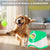 FetchMate™ - Innovative automatic ball launcher