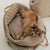 PetNest™ - 3-in-1 Luxury Pet Carrier